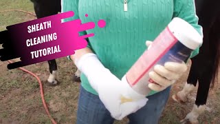 Sheath Cleaning Tutorial for Horses [upl. by Staten]