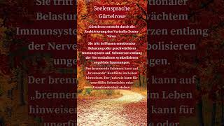 Seelensprache GÜRTELROSE [upl. by Anabelle195]