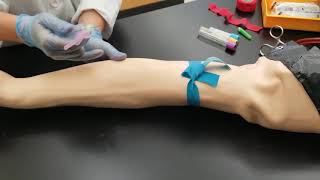 Phlebotomy Venipuncture Procedure [upl. by Ocirnor402]