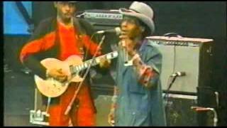 Junior Wells  Messin With The Kid  Woodlands Blues Fest  Texas 1993 [upl. by Argyres]