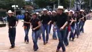 Chica boum boum country line danse [upl. by Yetty]