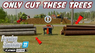 Most Profitable Tree In Farming Simulator 22 [upl. by Pitchford]