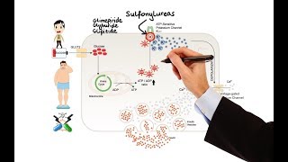 Pharmacology  DRUGS FOR DIABETES MADE EASY [upl. by Ambrosio410]