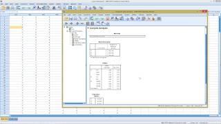 SPSS  Conjoint Analysis [upl. by Tarttan]