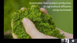 Animal production systems Sustainable feed formulations [upl. by Omocaig29]