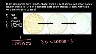 How to Calculate Bacterial Concentration [upl. by Gerhard]