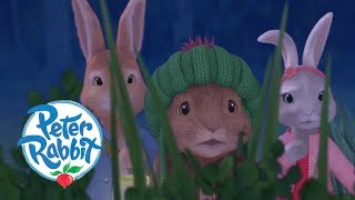 Peter Rabbit  The Dash in the Dark  Cartoons for Kids [upl. by Clementia188]