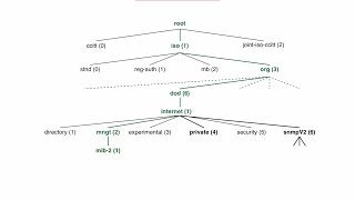 Introduction to SNMP MIBs [upl. by Eciram]