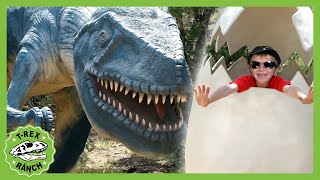 TRex Ranch Dinosaur Dinosaur World Adventures  Jurassic Videos for Kids [upl. by Schlicher635]