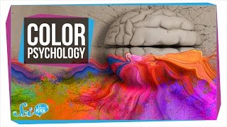 Does Color Really Affect How You Act [upl. by Kcitrap]