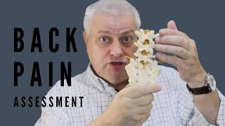 Low Back Pain  Lumbar Facet Joints  Assessment and Treatment [upl. by Ecirtahs213]