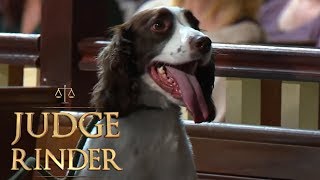 Funniest and Naughtiest Animals in Court  Judge Rinder [upl. by Lacagnia]