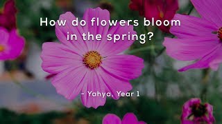 How do flowers bloom in the spring [upl. by Ibloc388]