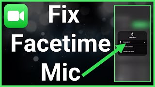 How To Fix FaceTime Microphone [upl. by Aihk695]