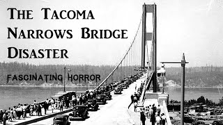 The Tacoma Narrows Bridge Disaster  A Short Documentary  Fascinating Horror [upl. by Hildagard]