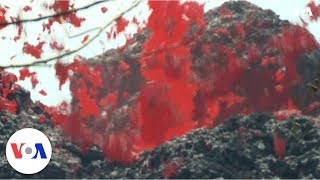 Hawaii Mount Kilaueas eruption opens new lava vent [upl. by Brit]