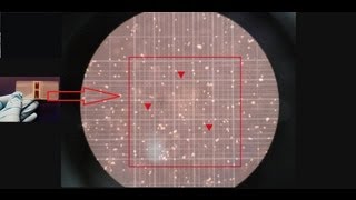 Hemocytometer  Counting of cells  Amrita University [upl. by Anerrol130]