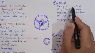 placentation and its types in plants  class bsc Botany [upl. by Coray25]