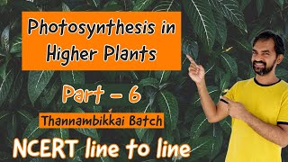 Photosynthesis in higher plants  Part 4  Factors affecting photosynthesis [upl. by Kcirrem]