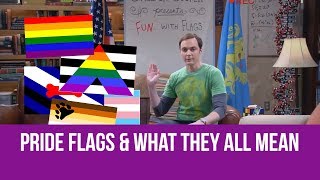 Pride Flags and What They All Mean [upl. by Yeldahc128]