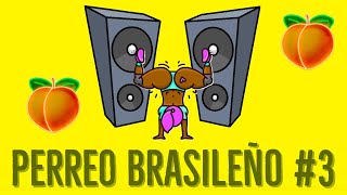 MIX PERREO BRASILEÑO 3  DJ DEIVID [upl. by Atelahs360]