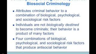 Theories of Criminology Dr A Black [upl. by Carolle]