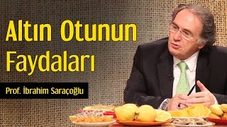 Altın Otunun Faydaları  Prof İbrahim Saraçoğlu [upl. by Eb]