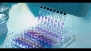 Test ELISA [upl. by Anidan276]