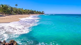 Dominican Beach with Waves Rolling  Natural Background With Ocean Sounds [upl. by Hera]