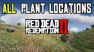 Red Dead Redemption 2  ALL 43 PLANTS amp HERBS LOCATIONS [upl. by Gwenore]