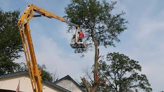 Renting a Haulotte 4527a Trailer Lift to Cut Down Trees [upl. by Sorazal]