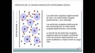 cromatografia de intercambio ionico [upl. by Weihs]