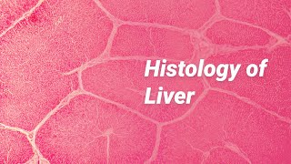 What is Hematology [upl. by Onivla898]