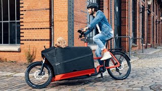 Riese and Muller Packster 70 Electric Cargo Bike Review [upl. by Malvina235]