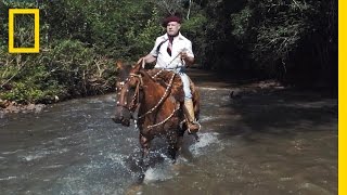 Horses and Solitude Inside the Life of a Brazilian Gaúcho  Short Film Showcase [upl. by Meehan722]