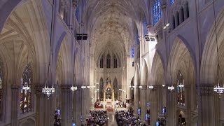 Restoring St Patricks Cathedral [upl. by Selinski685]