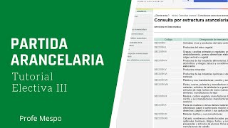 Tutorial Consulta Partida Arancelaria [upl. by Hwang612]
