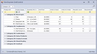 DevExpress Tutorial  Getting Started with the GridControl  FoxLearn [upl. by Ede562]