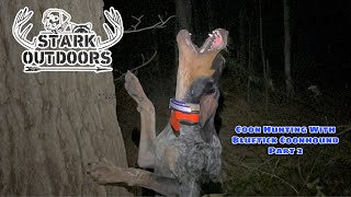 Coon Hunting with Bluetick Coonhound Part 2 [upl. by Grady652]