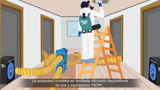 Exclusive Mold Remediation Protocol  A Step By Step Process [upl. by Britte702]