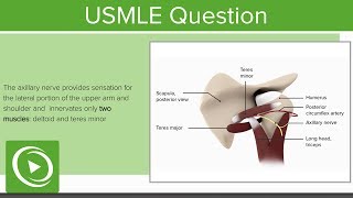 Osteoclasts  Everything You Need To Know  Dr Nabil Ebraheim [upl. by Jobina]