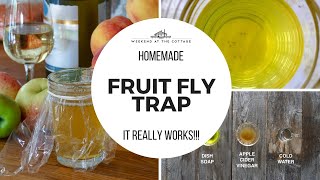 EASY HOMEMADE FRUIT FLY TRAP [upl. by Valonia]