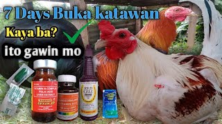 PAANO PABUKAHIN KATAWAN NG MANOK [upl. by Rennob]