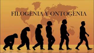 Conceptos de Filogenia y Ontogenia [upl. by Yrroc]