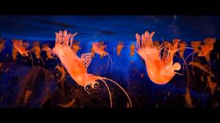 Happy Feet Two  Under Pressure Scene HD [upl. by Nessa]