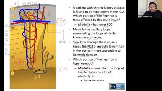 USMLE® Step 1 High Yield Nephrology Renal Tubular Acidosis [upl. by Balthasar285]