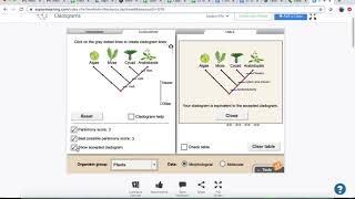 Cladogram Gizmo Tutorial [upl. by Dnilazor]