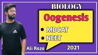 Oogenesis  NMDCAT 2021 [upl. by Cohleen43]