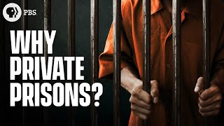 Why Do We Have Private Prisons [upl. by Ahtimat355]