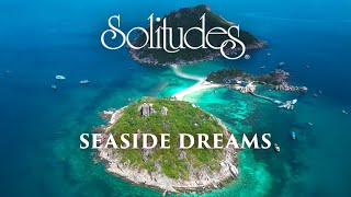 Dan Gibson’s Solitudes  Introspection  Seaside Dreams [upl. by Wurster44]